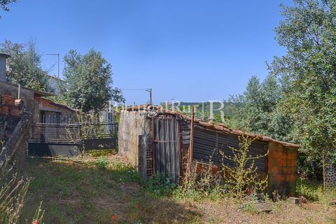 Landejendom i Macao, Santarem, Macao - € 72.500 | Ref: SA283 - foto 41