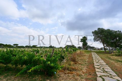 Villa a Almancil, Faro, Almancil - € 9.500/mes | Ref: CAS_663 - foto 29