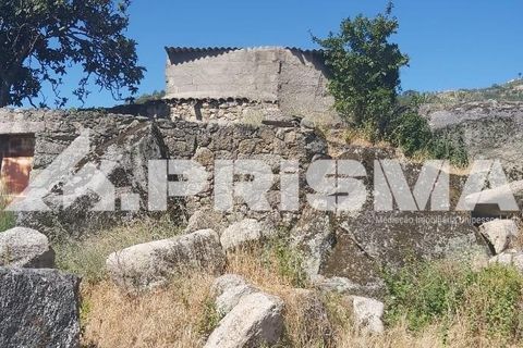 Helårsgrund i Castelo Branco, Castelo Branco, Castelo Branco - € 78.000 | Ref: PP4601 - foto 2