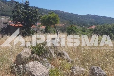 Helårsgrund i Castelo Branco, Castelo Branco, Castelo Branco - € 78.000 | Ref: PP4601 - foto 3