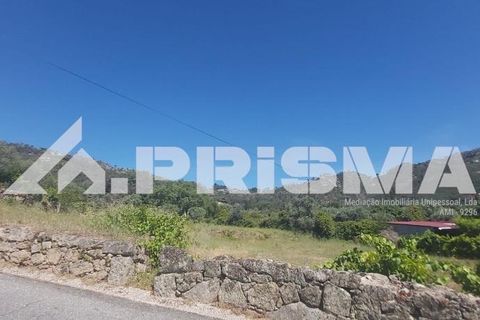 Helårsgrund i Castelo Branco, Castelo Branco, Castelo Branco - € 78.000 | Ref: PP4601 - foto 4