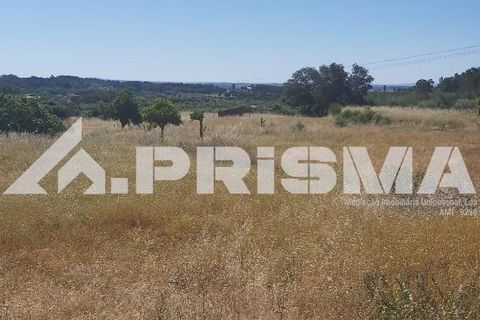 Helårsgrund i Castelo Branco, Castelo Branco, Castelo Branco - € 78.000 | Ref: PP4601 - foto 5