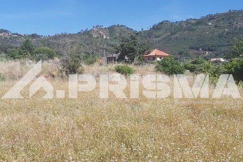Helårsgrund i Castelo Branco, Castelo Branco, Castelo Branco - € 78.000 | Ref: PP4601 - foto 6