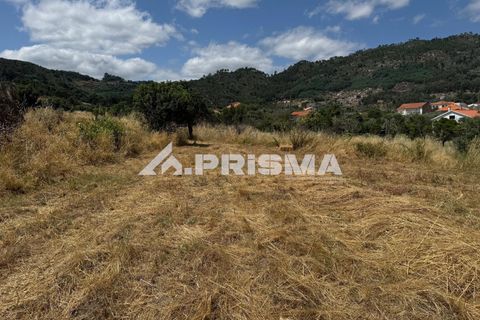 Helårsgrund i Castelo Branco, Castelo Branco, Castelo Branco - € 78.000 | Ref: PP4601 - foto 7
