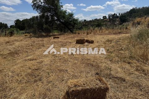 Helårsgrund i Castelo Branco, Castelo Branco, Castelo Branco - € 78.000 | Ref: PP4601 - foto 8
