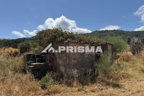 Helårsgrund i Castelo Branco, Castelo Branco, Castelo Branco - € 78.000 | Ref: PP4601 - foto 9