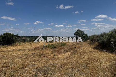 Helårsgrund i Castelo Branco, Castelo Branco, Castelo Branco - € 78.000 | Ref: PP4601 - foto 10