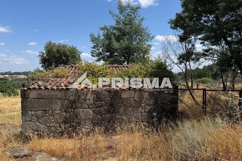 Helårsgrund i Castelo Branco, Castelo Branco, Castelo Branco - € 78.000 | Ref: PP4601 - foto 13