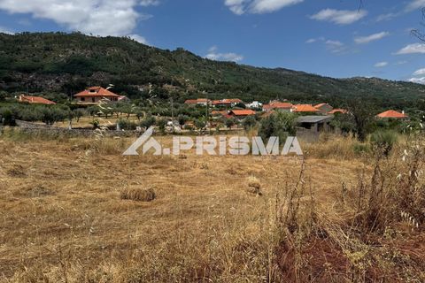Helårsgrund i Castelo Branco, Castelo Branco, Castelo Branco - € 78.000 | Ref: PP4601 - foto 14