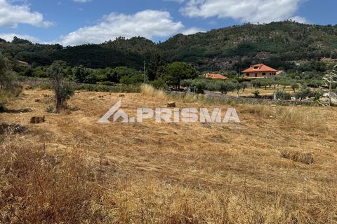 Helårsgrund i Castelo Branco, Castelo Branco, Castelo Branco - € 78.000 | Ref: PP4601 - foto 15