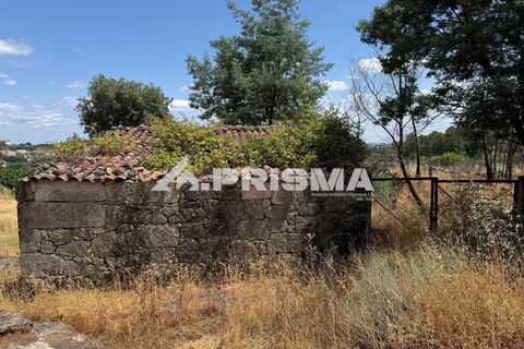 Helårsgrund i Castelo Branco, Castelo Branco, Castelo Branco - € 78.000 | Ref: PP4601 - foto 16