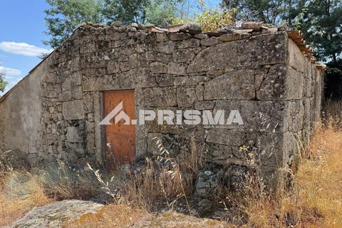 Helårsgrund i Castelo Branco, Castelo Branco, Castelo Branco - € 78.000 | Ref: PP4601 - foto 17