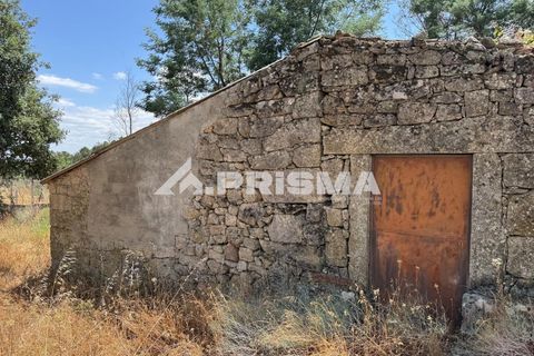 Helårsgrund i Castelo Branco, Castelo Branco, Castelo Branco - € 78.000 | Ref: PP4601 - foto 18