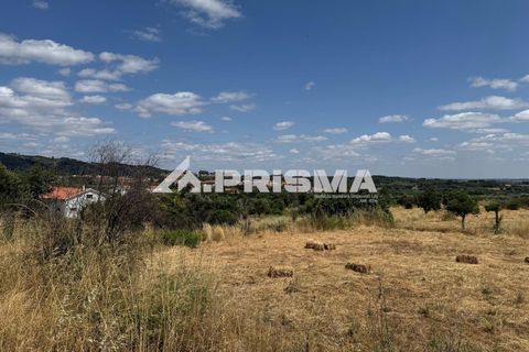 Helårsgrund i Castelo Branco, Castelo Branco, Castelo Branco - € 78.000 | Ref: PP4601 - foto 19