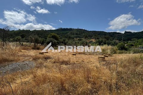 Helårsgrund i Castelo Branco, Castelo Branco, Castelo Branco - € 78.000 | Ref: PP4601 - foto 20
