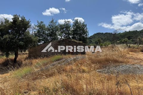 Helårsgrund i Castelo Branco, Castelo Branco, Castelo Branco - € 78.000 | Ref: PP4601 - foto 21