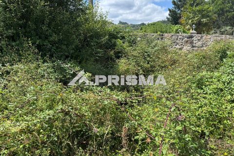 Helårsgrund i Castelo Branco, Castelo Branco, Castelo Branco - € 78.000 | Ref: PP4601 - foto 23