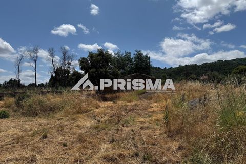 Helårsgrund i Castelo Branco, Castelo Branco, Castelo Branco - € 78.000 | Ref: PP4601 - foto 25