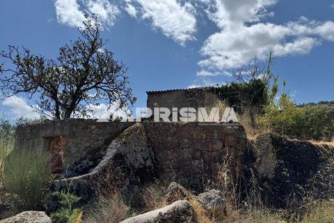 Helårsgrund i Castelo Branco, Castelo Branco, Castelo Branco - € 78.000 | Ref: PP4601 - foto 26