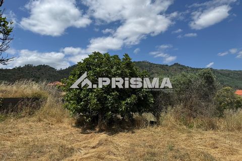 Helårsgrund i Castelo Branco, Castelo Branco, Castelo Branco - € 78.000 | Ref: PP4601 - foto 27