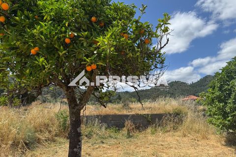 Helårsgrund i Castelo Branco, Castelo Branco, Castelo Branco - € 78.000 | Ref: PP4601 - foto 28