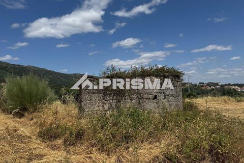 Helårsgrund i Castelo Branco, Castelo Branco, Castelo Branco - € 78.000 | Ref: PP4601 - foto 30