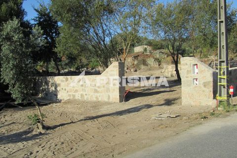 Helårsgrund i Castelo Branco, Castelo Branco, Castelo Branco - € 78.000 | Ref: PP4601 - foto 32