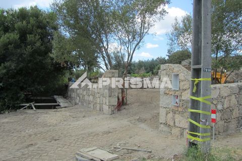 Helårsgrund i Castelo Branco, Castelo Branco, Castelo Branco - € 78.000 | Ref: PP4601 - foto 33