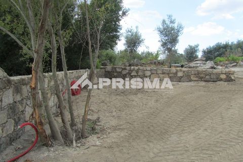 Helårsgrund i Castelo Branco, Castelo Branco, Castelo Branco - € 78.000 | Ref: PP4601 - foto 35