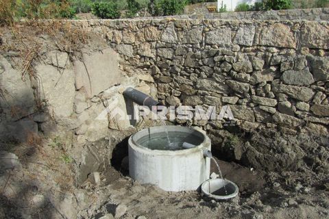 Helårsgrund i Castelo Branco, Castelo Branco, Castelo Branco - € 78.000 | Ref: PP4601 - foto 38