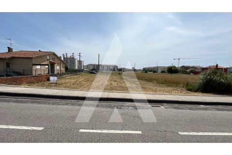 Helårsgrund i Aveiro, Aveiro, Aveiro - € 398.000 | Ref: 1040705/25 BR - foto 3