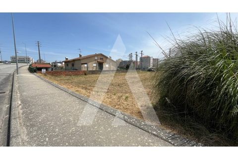 Helårsgrund i Aveiro, Aveiro, Aveiro - € 398.000 | Ref: 1040705/25 BR - foto 4