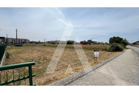 Helårsgrund i Aveiro, Aveiro, Aveiro - € 398.000 | Ref: 1040705/25 BR - foto 5