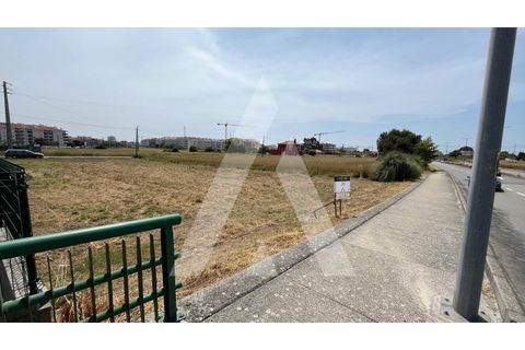 Helårsgrund i Aveiro, Aveiro, Aveiro - € 398.000 | Ref: 1040705/25 BR - foto 7