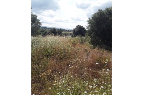 Helårsgrund i Azambuja, Lisbon, Azambuja - € 18.800 | Ref: CA-126 - foto 3