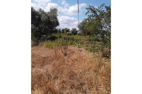 Helårsgrund i Azambuja, Lisbon, Azambuja - € 18.800 | Ref: CA-126 - foto 4