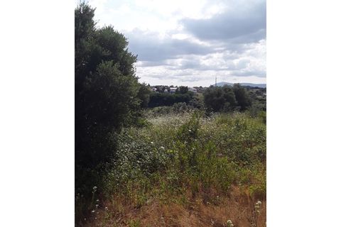 Helårsgrund i Azambuja, Lisbon, Azambuja - € 18.800 | Ref: CA-126 - foto 5