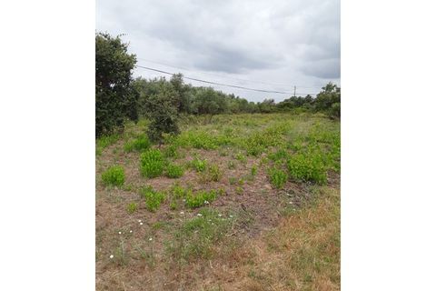 Helårsgrund i Azambuja, Lisbon, Azambuja - € 18.800 | Ref: CA-126 - foto 11
