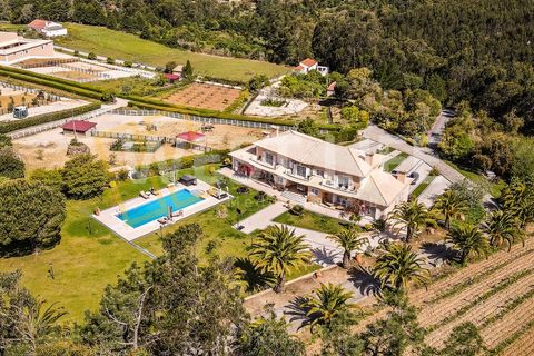 Landejendom i Mafra, Lisbon, Mafra - € 4.900.000 | Ref: 5938WM - foto 3