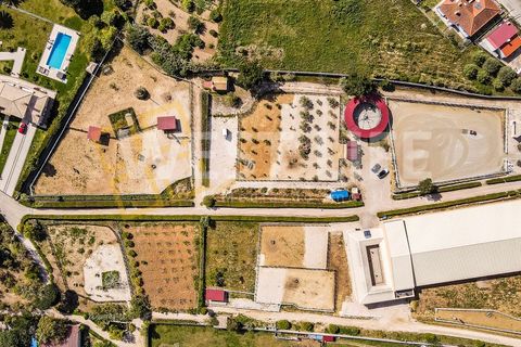 Landejendom i Mafra, Lisbon, Mafra - € 4.900.000 | Ref: 5938WM - foto 5