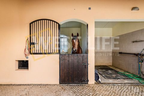 Landejendom i Mafra, Lisbon, Mafra - € 4.900.000 | Ref: 5938WM - foto 30