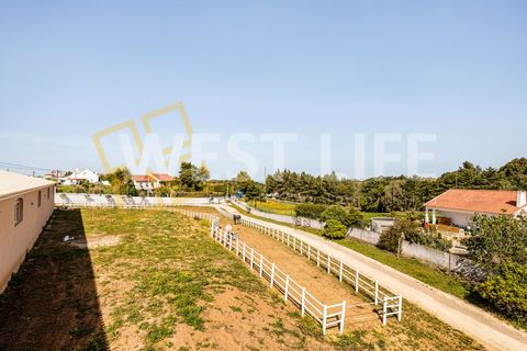 Landejendom i Mafra, Lisbon, Mafra - € 4.900.000 | Ref: 5938WM - foto 31