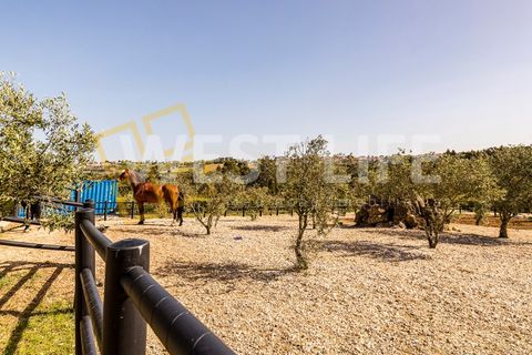 Landejendom i Mafra, Lisbon, Mafra - € 4.900.000 | Ref: 5938WM - foto 32