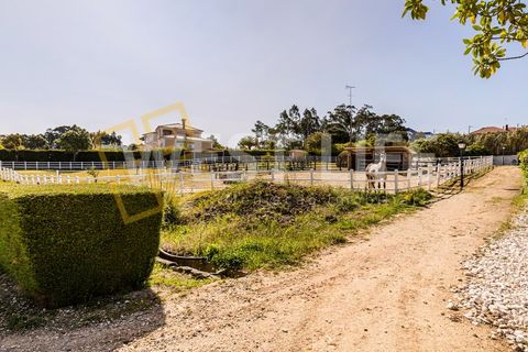 Landejendom i Mafra, Lisbon, Mafra - € 4.900.000 | Ref: 5938WM - foto 33