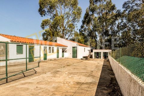 Landejendom i Mafra, Lisbon, Mafra - € 4.900.000 | Ref: 5938WM - foto 34