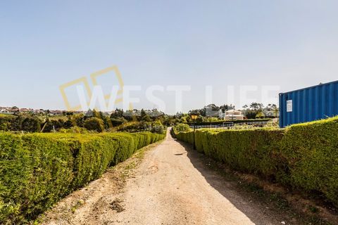 Landejendom i Mafra, Lisbon, Mafra - € 4.900.000 | Ref: 5938WM - foto 40