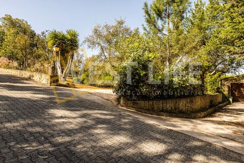 Landejendom i Mafra, Lisbon, Mafra - € 4.900.000 | Ref: 5938WM - foto 41