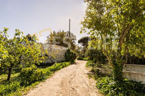 Landejendom i Mafra, Lisbon, Mafra - € 4.900.000 | Ref: 5938WM - foto 42