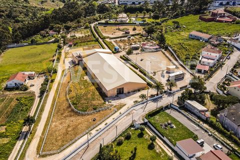 Landejendom i Mafra, Lisbon, Mafra - € 4.900.000 | Ref: 5938WM - foto 45