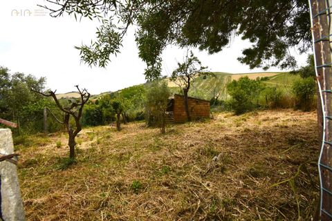 Landejendom i Ripatransone, Ascoli Piceno, Ripatransone - € 105.000 | Ref: 33527 - foto 12